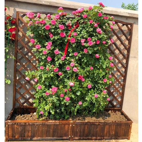 Freestanding wooden planter - freestanding,